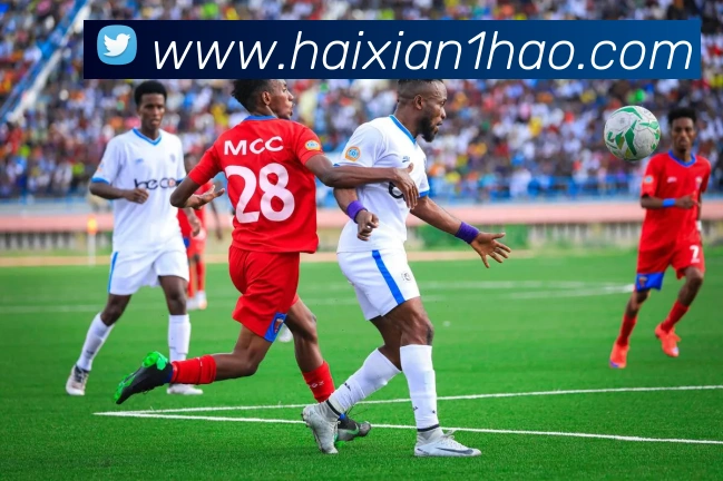 奖项证书